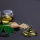 The Benefits of CBD: Exploring the Therapeutic Potential of Cannabidiol