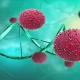 The new Analogues of TPCA-1 Could Lead to More Effective Cancer Therapies