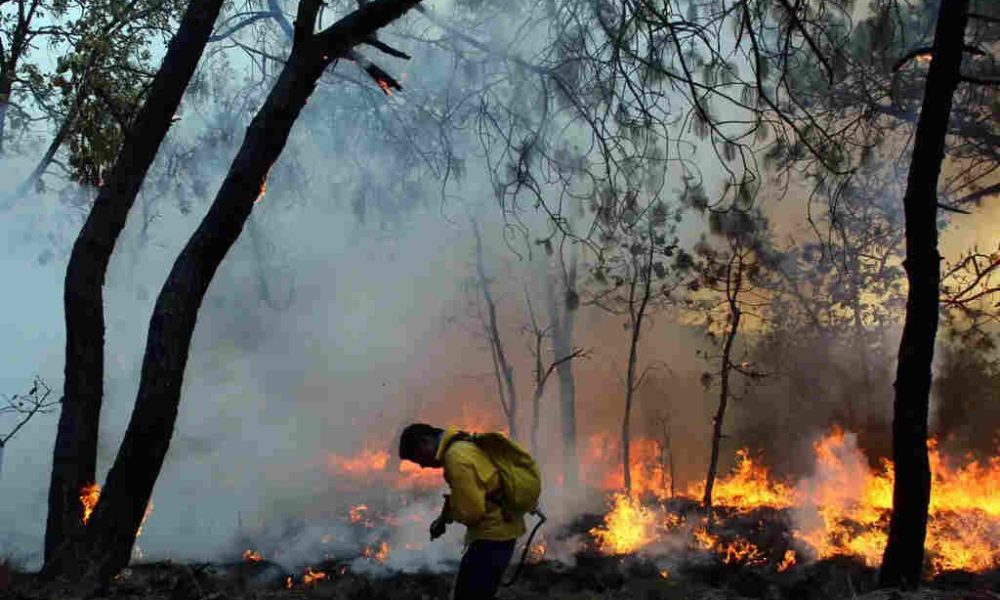 Forest Fires in Northern Thailand Worsening PM2.5 Air Quality