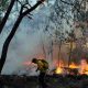 Forest Fires in Northern Thailand Worsening PM2.5 Air Quality