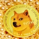 How It's Looking For Dogecoin Throughout 2023