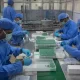 India Prepares to Develop any Kind Of Vaccine Within 100 Day