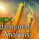 Understanding Forex Fundamental Analysis