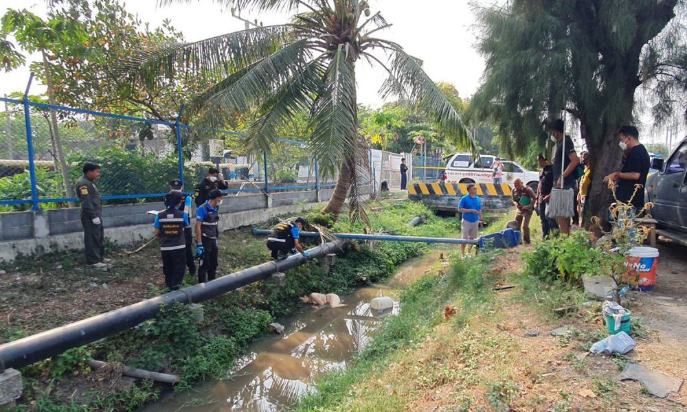 Woman Stabbed and Set on Fire in Central Thailand