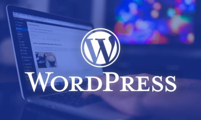 wordpress