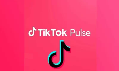 TikTok Pulse