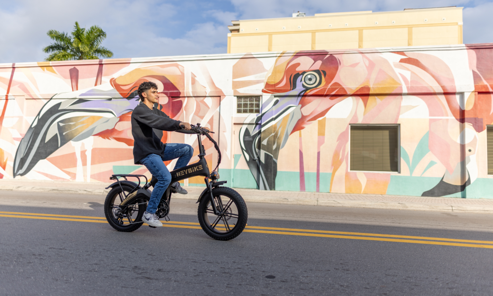 Best Folding Electric Bike Heybike Tyson