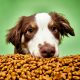 Wholesale Bulk Dog Food