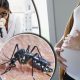 zika virus thailand