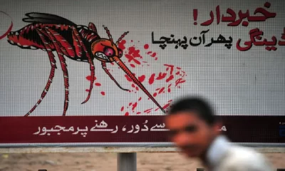 A Nationwide Outbreak of Dengue Fever has Broken out in Pakistan