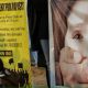 Pakistan Report Exposes That Children a Day are Sexually Abused