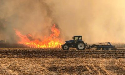 Industrial Scale Maize Cultivation a Major Contributor to Haze Problem