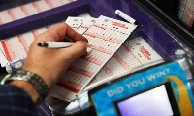 Mega Millions Winning Numbers For October 24, 2023: Jackpot $114 Million