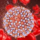 An Outbreak Of Hepatitis Closes Schools In Vinnytsia, Ukraine