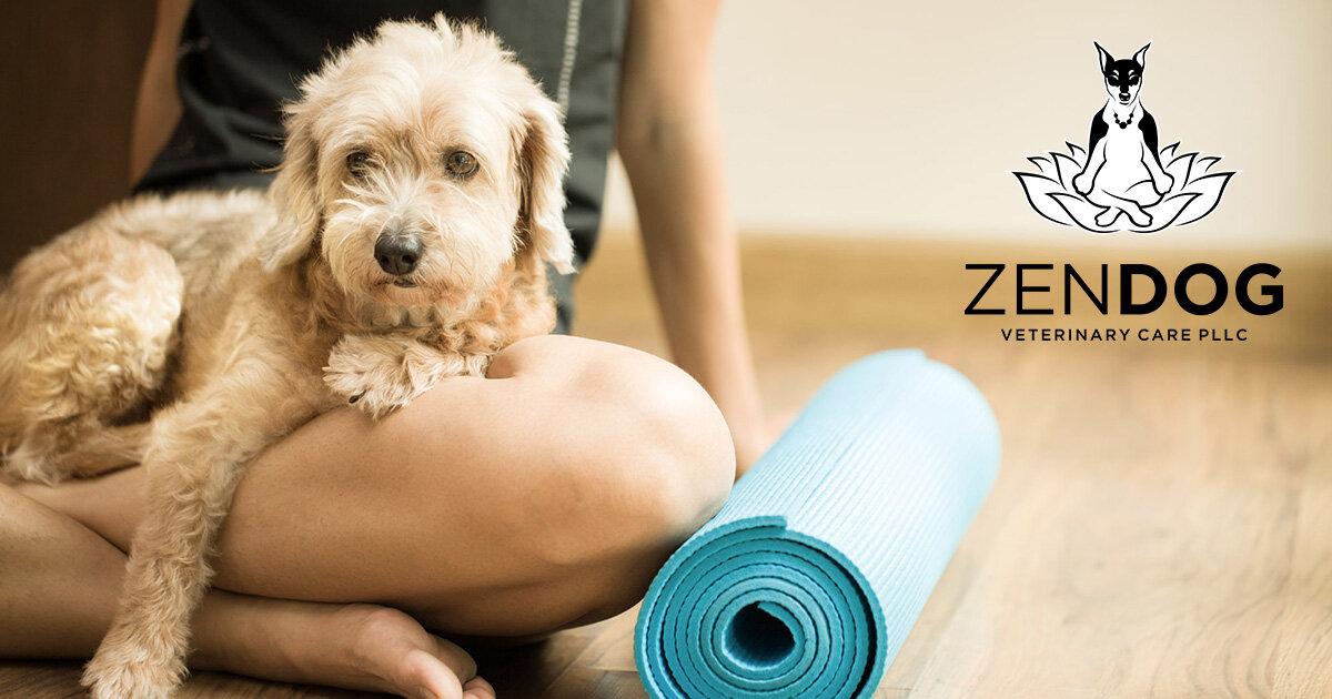 Zen Dog Vet