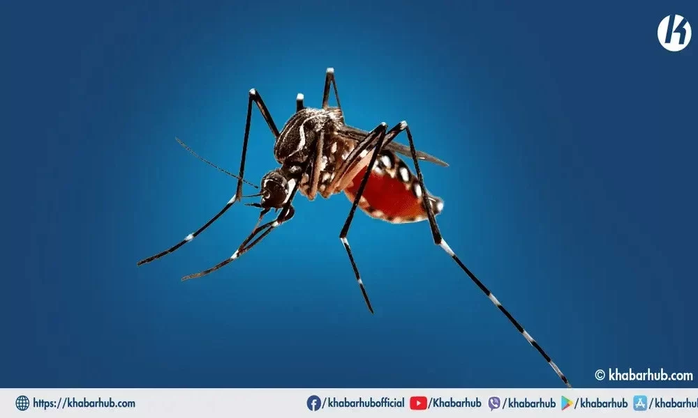 Approximately 1,700 Dengue Patients Have Been Reported By Sankhuwasabha