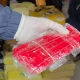 Thai Police Arrest Nine, Seize 200k Meth Pills in Thailand