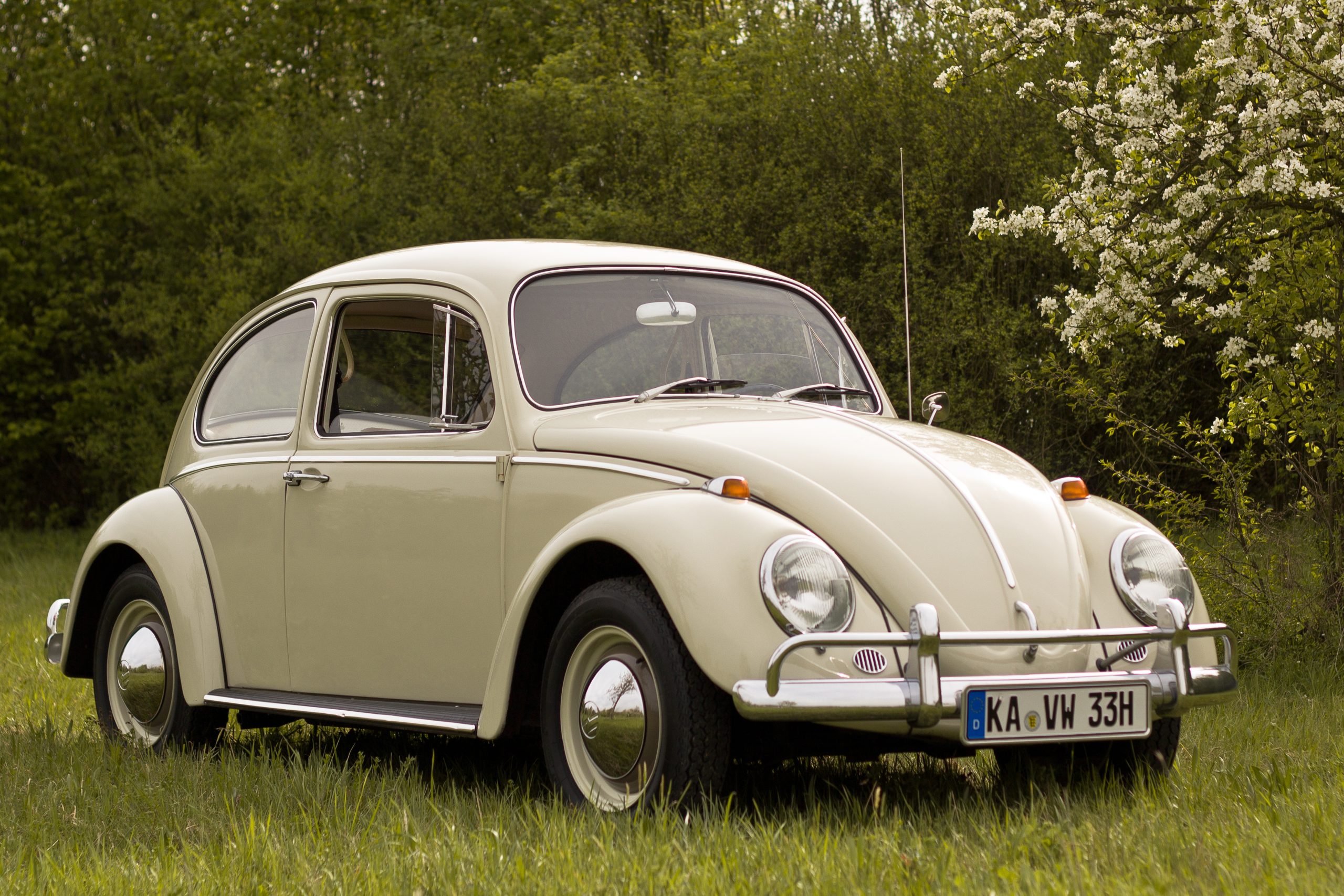 6 Things You Didn't Know About the Iconic White Volkswagen Beetle