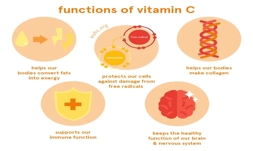 What Does Vitamin C Do For Us?