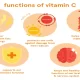 What Does Vitamin C Do For Us?