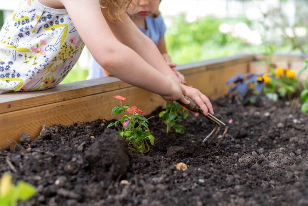 home organic garden