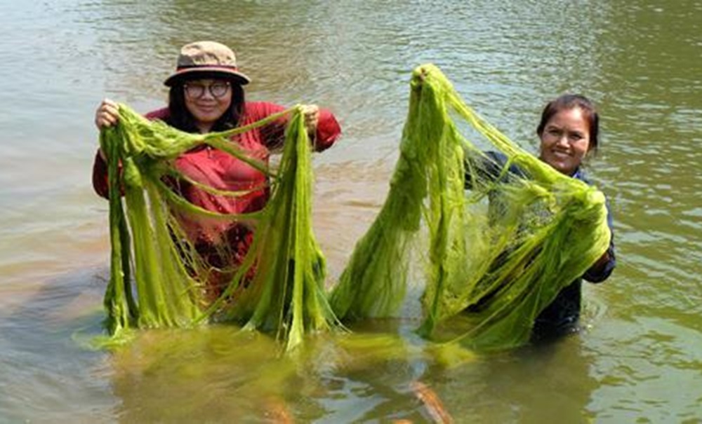 Gai Mekong River