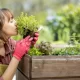 Organic Garden food system