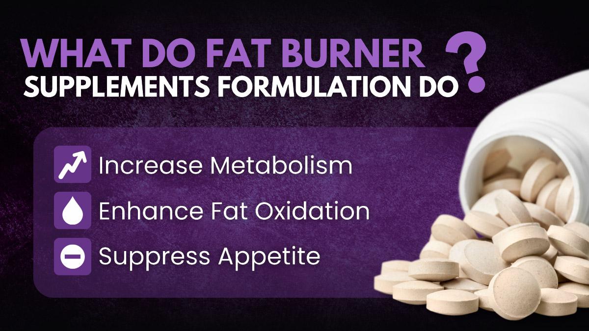 Best Fat Burner