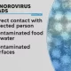 Norovirus Spreading Across US, Northeast Region Hardest Hit