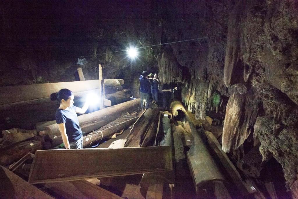 Prehistoric Human Remains Discovered in Iron Age Log Coffin in Northern Thailand