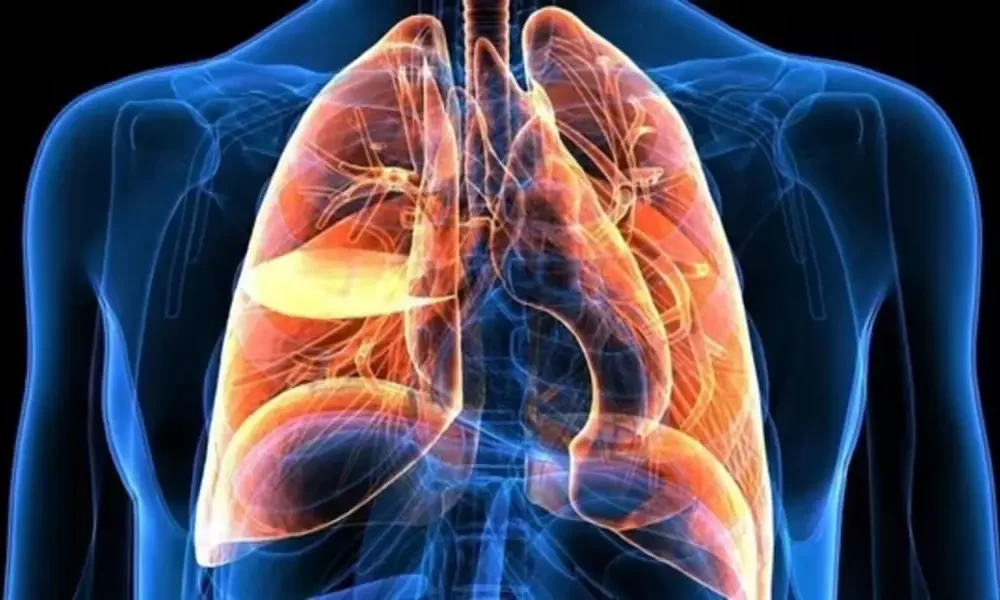 Air Pollution Boosts Heart and Lung Hospitalizations Study Reveals