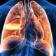 Air Pollution Boosts Heart and Lung Hospitalizations Study Reveals