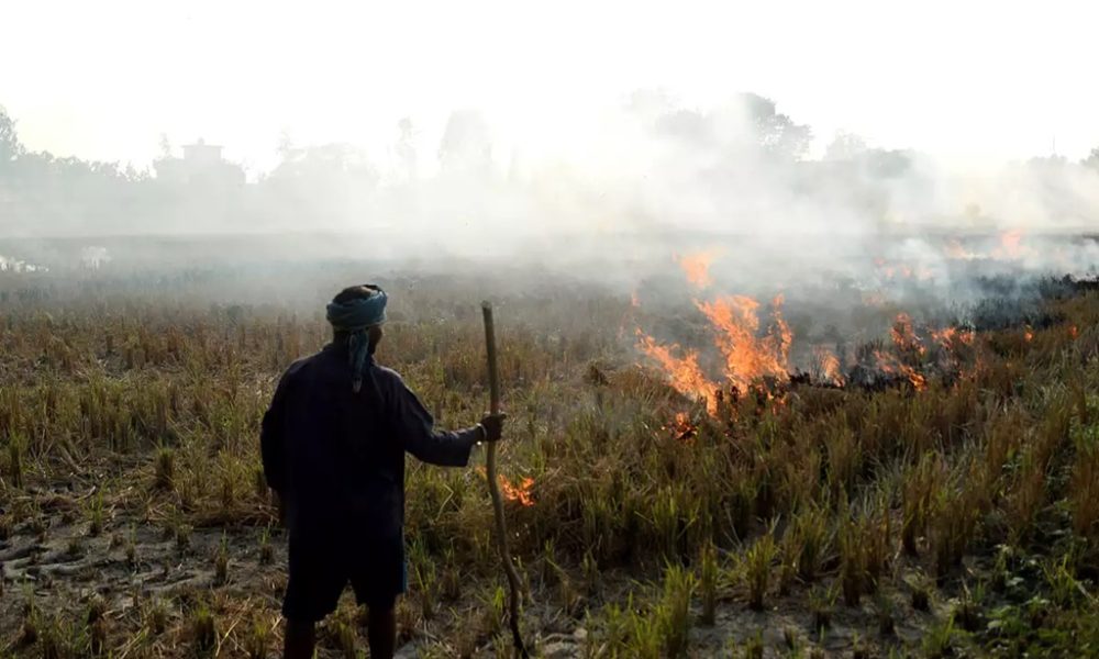 Northern Thailand Experiencing Unsafe Levels of PM2.5 Air Quality