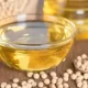 Studies Suggest Soybean Oil Diets May Cause Diabetes And Obesity