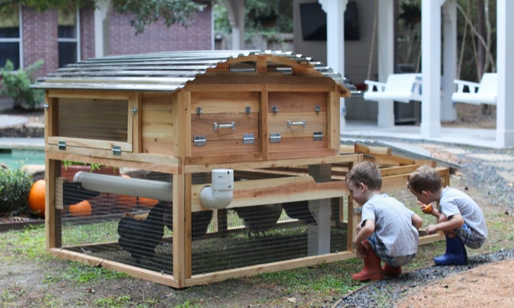 chicken coop