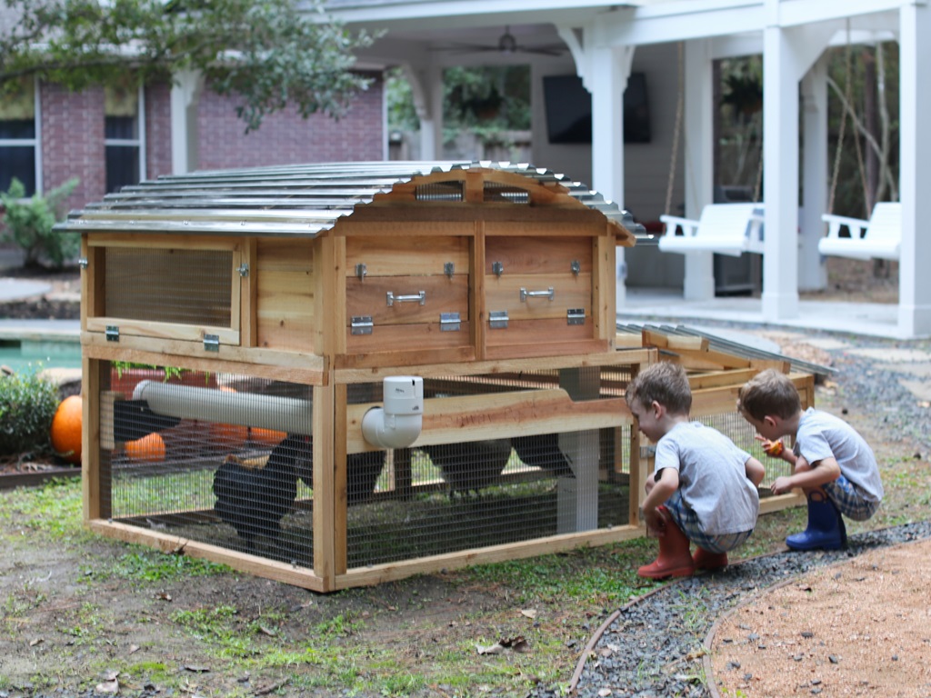 chicken coop