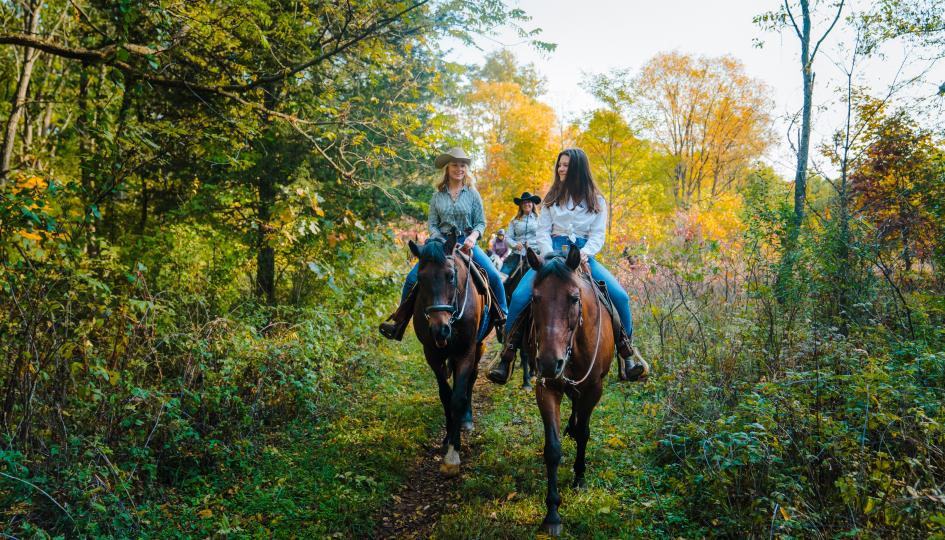 Horse Tours Club