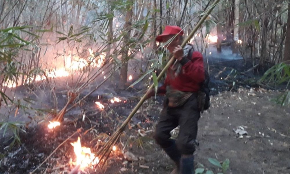 Wildfires in Chiang Mai