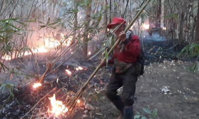 Wildfires in Chiang Mai