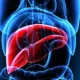 FDA Approves First Drug To Treat a Common, Serious Liver Condition