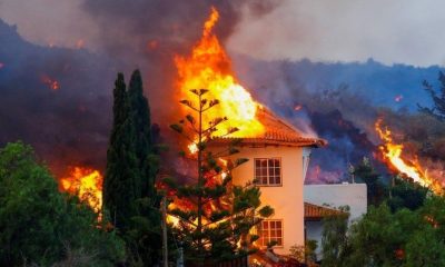 How Grass Fuels the Surge in Devastating Wildfires across the US