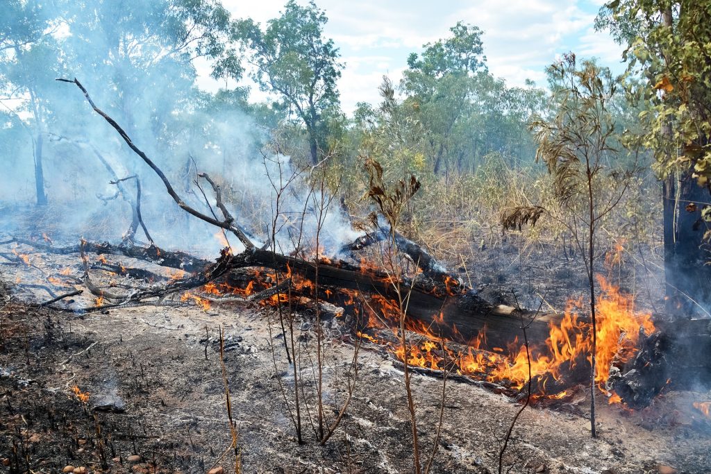 Wildfires in Chiang Mai