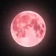 Pink Full Moon