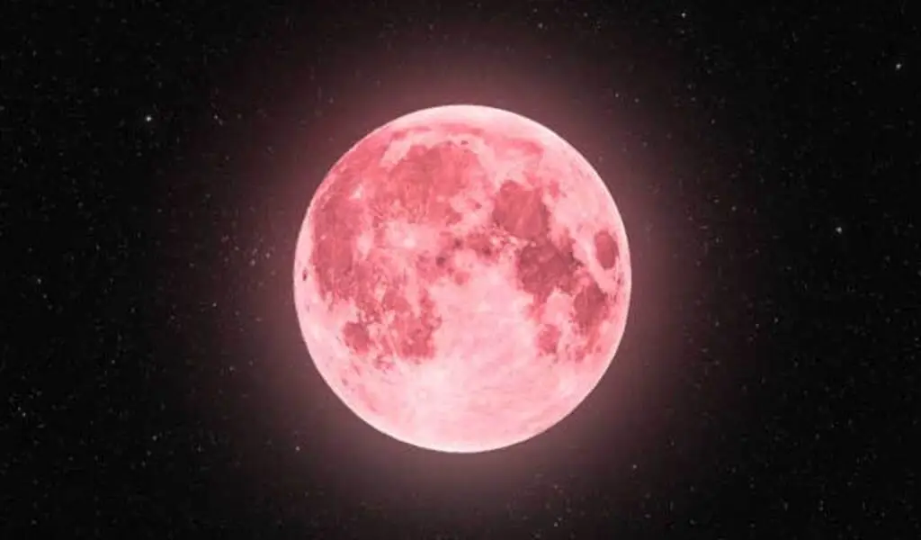 Pink Full Moon