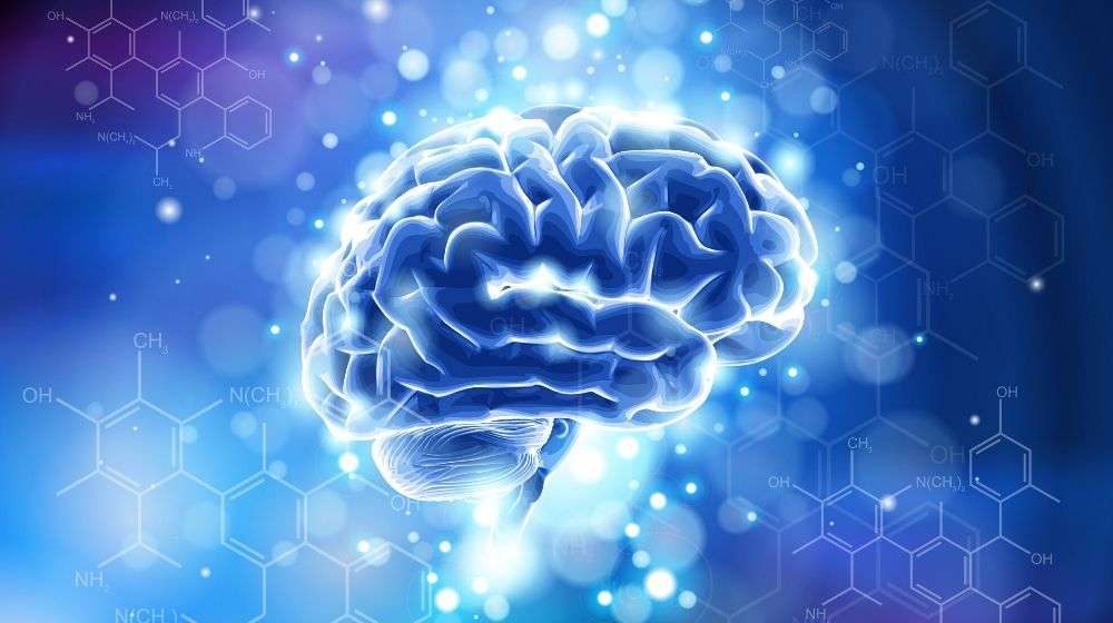 Brain Biohacking: Why Are Nootropics Gaining Popularity?