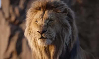 The Lion King