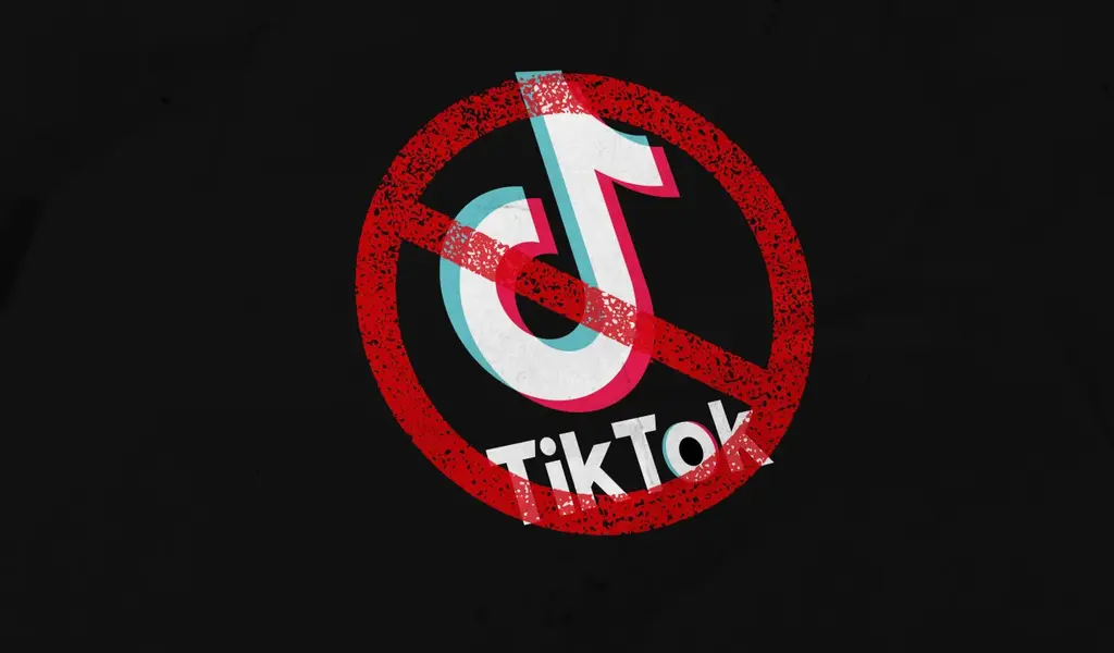 U.S. House Passes Bill Requiring ByteDance to Sell TikTok or Face Ban