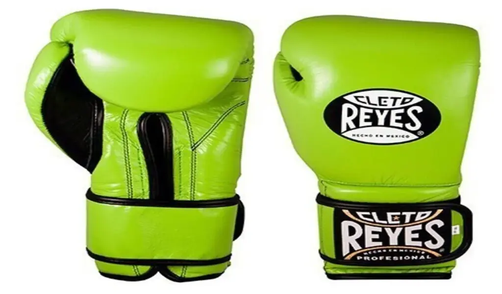 Choosing the Best Boxing Gloves for Beginners