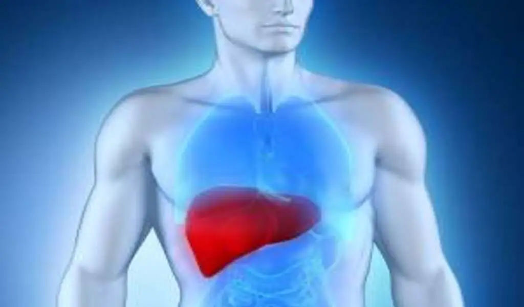 Liver Disease