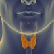 Thyroxine and Hypothyroidism